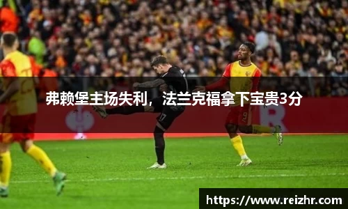 新足球体育直播