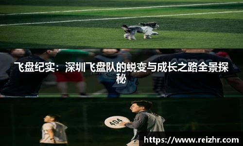 飞盘纪实：深圳飞盘队的蜕变与成长之路全景探秘