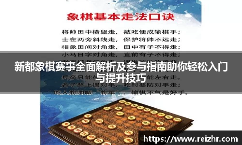 新足球直播在线观看