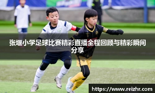 新足球直播在线观看