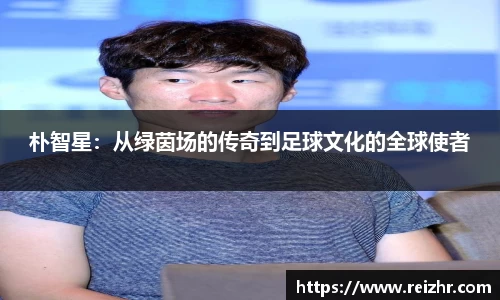 新足球直播在线观看